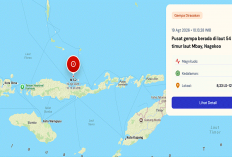 Gempa M5,2 Guncang Nagekeo NTT Hari Ini, Terasa hingga Ende! BMKG Ungkap Potensi Tsunami