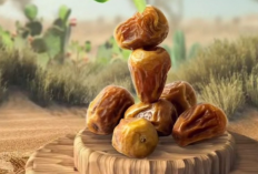 5 Manfaat Kurma yang Kamu Tidak Sangka, Cocok Dikonsumsi Setiap Hari untuk Kesehatan!