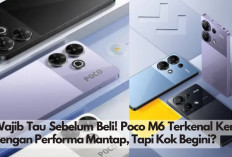 Wajib Tau Sebelum Beli! Poco M6 Terkenal Keren dengan Performa Mantap, Tapi Kok Begini? 