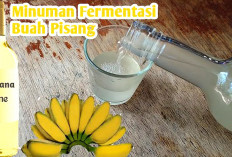 Bikin Ngiler!  Cara Mudah Membuat Wine Buah Pisang Halal Toyiban