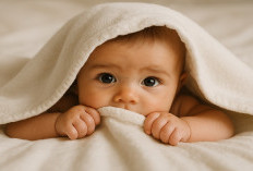 Terbongkar! Begini Modus Perdagangan Bayi ke Singapura, Satu Anak Dihargai Segini!