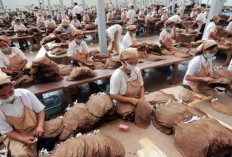 Pemerintah Tetapkan Potongan Baru Pajak Gaji Buruh, Ini Besarannya!