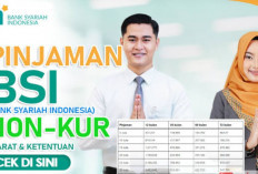 Limit Pinjaman Bisa Sampai 50 Juta, Kenali 3 Jenis Non KUR BSI dan Syarat Pengajuannya...