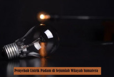 Listrik Padam di Palembang, Lampung, Jambi dan Bengkulu, Ini Biang Keroknya!