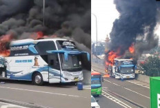 Detik-Detik Bus Wisata TK Terbakar, 58 Anak Selamat di Tol Wiyoto Wiyono