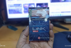 5 Hal Ini Kenapa Rokok Ilegal Harus Diberantas! Bisa Rugikan Negara dan Jadi Money Laundry