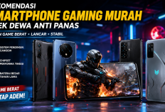 HP Gaming Murah Makin Sangar, Main Genshin hingga PUBG Makin Lancar
