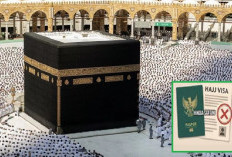 Visa Haji 2025 Gagal Terbit, Segini Jumlah Jemaah Batal ke Tanah Suci di Detik Terakhir!