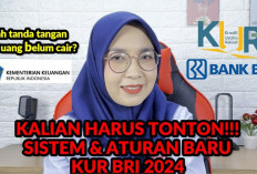 Aturan Baru KUR BRI Maret 2024 Buka Peluang Luas bagi Pengusaha Kecil! Yuk Cek Perubahan & Dampaknya di Sini!