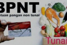 Segera Cek! BLT BNPT Rp 2,4 Juta Cair Januari 2024, Berikut Cara Mengecek Data KPM..