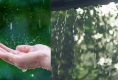 Mumpung Masih Musim Hujan, Yuk Coba Sembuhkan Penyakit dengan Air Hujan ala Ustaz Adi Hidayat Ini