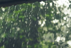 Musim Hujan Telah Tiba, Ini dia 8 Rekomendasi Kegiatan yang Bermanfaat dan Seru Biar Ngga Boring