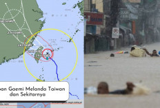 Topan Gaemi Hantam Taiwan dan Sekitarnya! Penerbangan dan Sekolah Ditutup, Ini Dampak Lainnya...