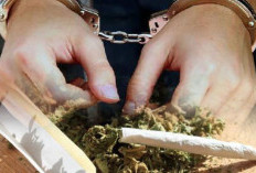 Polisi Temukan 53 Kg Ganja Siap Edar di Kontrakan Cakung, Dua Pelaku Diamankan