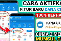 Cara Mengaktifkan DANA PayLater, Cek Panduan Lengkapnya di Sini!
