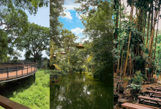 Wisata Desa Kediri Terpopuler 2025: Balekambang, Sumber Banteng, dan Alaska Siap Memikat Hati!