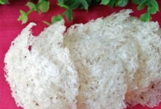 Ini Lho Manfaat  Sarang Walet Untuk Kesehatan, Berikut Sejarah Budidayanya