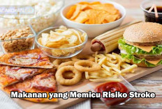 Bahaya! 5 Jenis Makanan Ini Bisa Menyebabkan Stroke, Jangan Asal Makan..