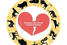 Shio Cocok, Kok Bisa Pisah? Ini 3 Faktor Penentu Hubungan Langgeng