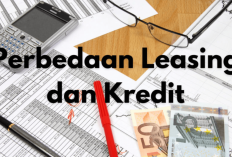 Yuk Cek Disini! Inilah Perbedaan Layanan Leasing dan Kredit yang Wajib Kamu Ketahui, Penasaran?
