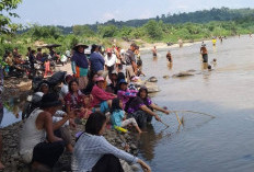 Ketubean Sungai Musi Picu Warga Berburu Ikan Massal