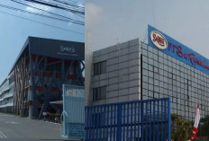 Sritex Pailit, Tapi Mensesneg Bilang 8.000 Buruh Bisa Kerja Lagi! Janji Nyata atau Harapan Palsu?