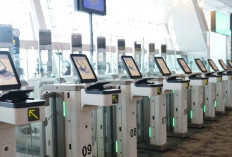 Skandal Pemerasan WNA China Coreng Citra Indonesia, Seluruh Pejabat Imigrasi Soetta Dipecat, Selanjutnya?