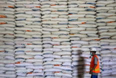 Benarkah Lonjakan Harga Beras Terjadi di Seluruh Dunia? Cek Faktanya Disini!