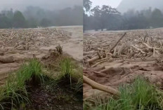 Kayu Gelondongan Hanyut Terbawa Arus Banjir Bandang di Sibolga, ini Respon Gubernur Sumut Bobby Nasution!