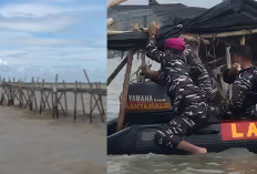 Aksi TNI AL Bongkar Pagar Laut 30 KM di Tangerang, Perintah Langsung Presiden Prabowo!