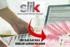 Pengajuan KUR Ditolak Bank? Cek Dulu Status SLIK OJK Kamu!