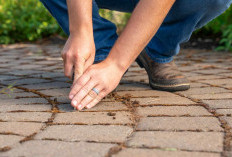 Paving Block Berlumut? Ini 7 Cara Simpel dan Ampuh Buatnya Kembali Kinclong!