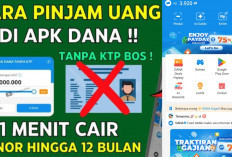 Resmi OJK! Cara Pinjam Uang di DANA Langsung Cair Tanpa KTP, Cuma Modal HP