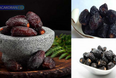 Kurma Ajwa: Kurma Premium yang Penuh Manfaat Bagi Kesehatan Tubuh Anda