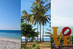 Karimun Jawa Punya Banyak Tempat Wisata, Kemana Aja? Yuk Buruan Jelajai Destinasi Terpopuler ini!