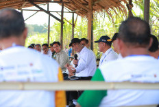 Indonesia Seriusi Swasembada Gula Tahun 2026, Siapkan Rp1,5 triliun untuk Serap Panen Tebu 