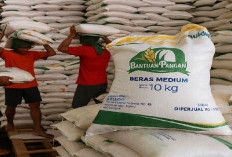 Bulog Pakai Sistem Canggih Ini, Warga Ketahuan Judi Online Tak Dapat Bantuan Pangan!