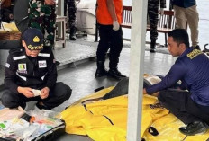 Pencarian Korban KMP Tunu Pratama Jaya Diperluas: Tiga Jenazah Ditemukan! 