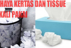 DANGER! Kurangi Pemakaian Kertas dan Tissue dari Sekarang, Inilah Dampak Negatifnya!