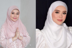 Wajahnya Cantik Mirip Lesti Kejora, Siapa Anggota DPD RI Asal Sumsel Ini? Berikut Profilnya