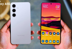 Samsung Galaxy A55, Siap Rilis Maret 2024 Bawa Chipset Exynos 1480, Berapa Harganya?