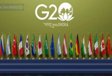 Guna Hadapi Krisis Iklim, Jhosep Stiglitz: Negara Miskin Butuh Bantuan Ekonomi Ramah Lingkungan 