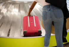 Bukan Dicabut, Ini 3 Aturan Impor yang Direvisi, Termasuk Barang Bawaan Penumpang dan Kiriman TKI