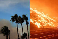 Duka Belum Reda, Angin Kecepatan 120 Km/Jam Ancam Kebakaran Baru di Los Angeles!