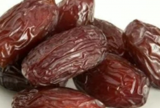 Manfaat Kurma untuk Kesehatan dan Diet! 4 Khasiat Utama yang Jarang Diketahui