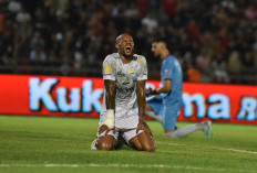 Catatkan 74 Gol dari 113 Pertandingan, David Da Silva Harus Berpisah dengan Persib 