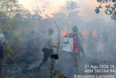Karhutla Way Kambas Meluas ke Rawa Mbah Sapon, Petugas Berjibaku di Medan Sulit  