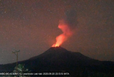 Aktivitas Dahsyat! Gunung Lewotobi Erupsi Sampai 31 Kali dan Melumpuhkan Tiga Bandara di NTT
