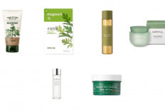 5 Rekomendasi Mask Mugwort dari Korea Skincare Terbaik, Bantu Kamu Merawat Wajah Agar Lebih Sehat, Cek Disini