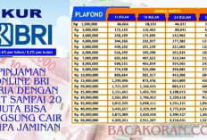 Hemat Tanpa Batas! Simulasi KUR BRI 2024, Pinjaman Rp50 Juta dengan Angsuran Mulai Rp900 Ribu, Langsung Cair..